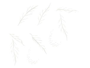 avocado branch illustration