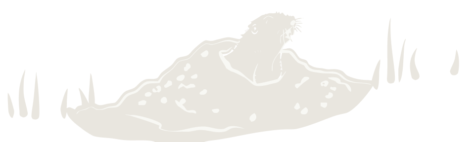 gopher+sprout illustration