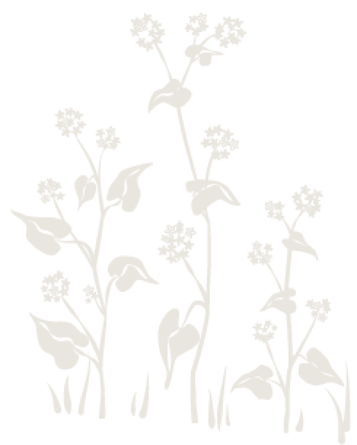 gopher+sprout illustration