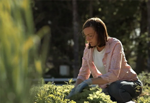 woman tending to herbs