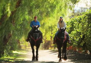 man and woman on horseback