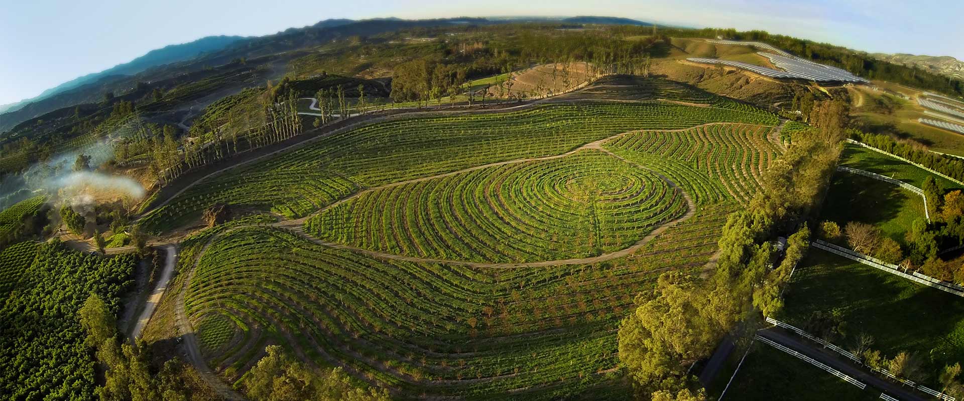 overhead view of apricot lane farms