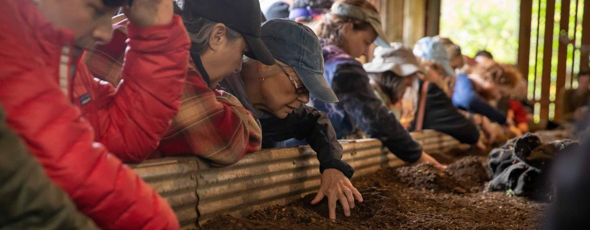 tour guests looking at worm bin in fertility center