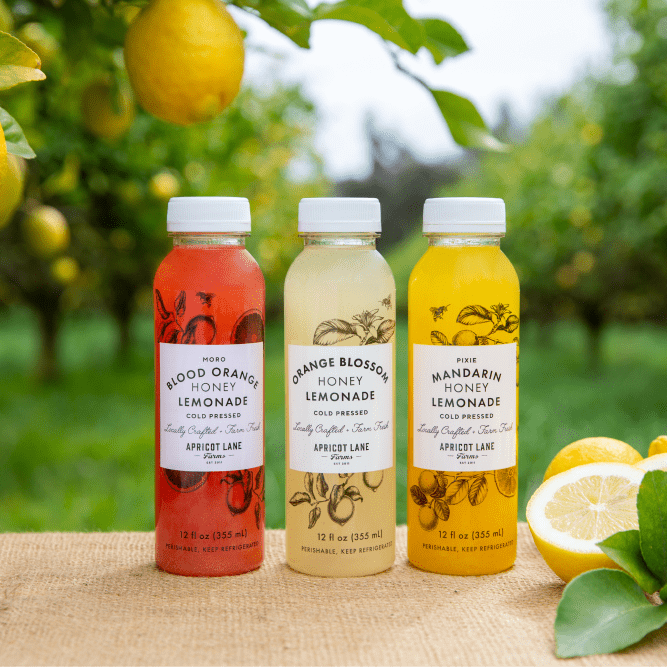 Honey Lemonade (Variety 12 Pack) - Apricot Lane Farms