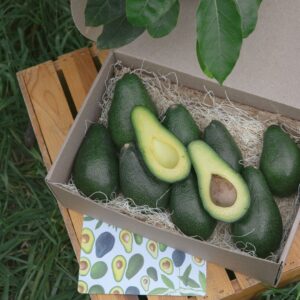 Organic Avocado Box