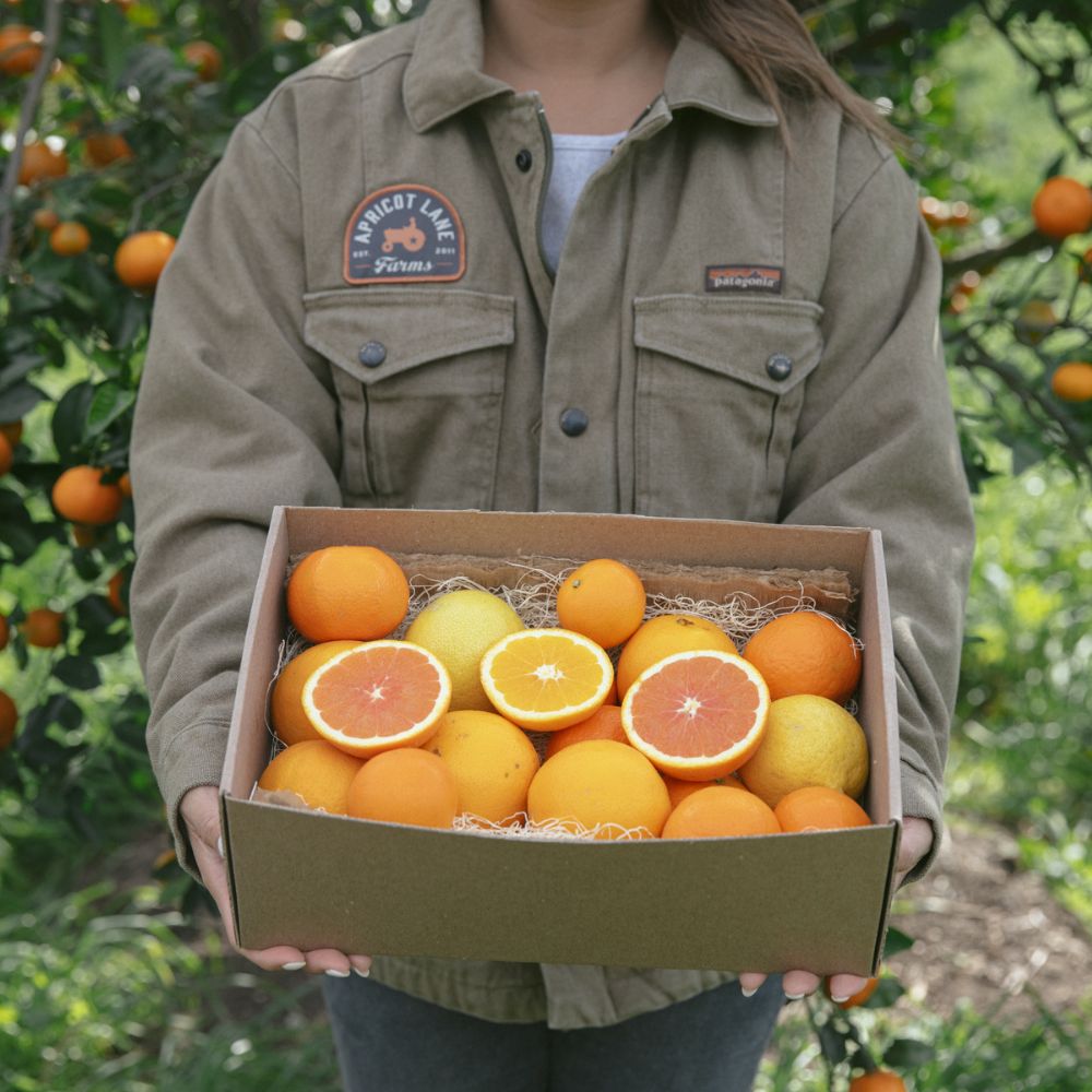 Organic Citrus Box - Apricot Lane Farms