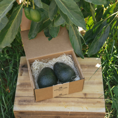 Lamb Hass Avocado | Small Box (3lb)