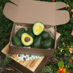 GELADO™ avocado | Standard Box (5lb)